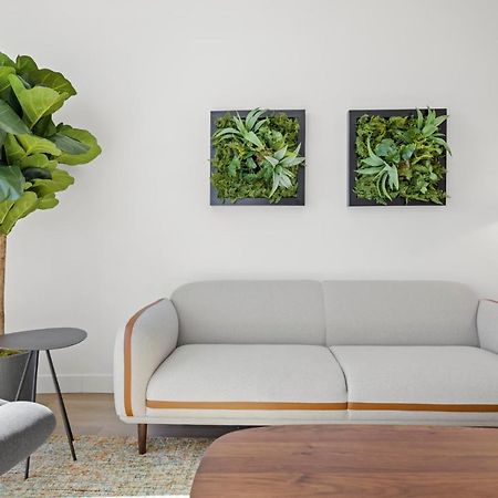 Whyhotel By Placemakr, San Jose Buitenkant foto